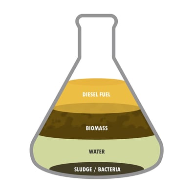 biodiesel-bug-graphic